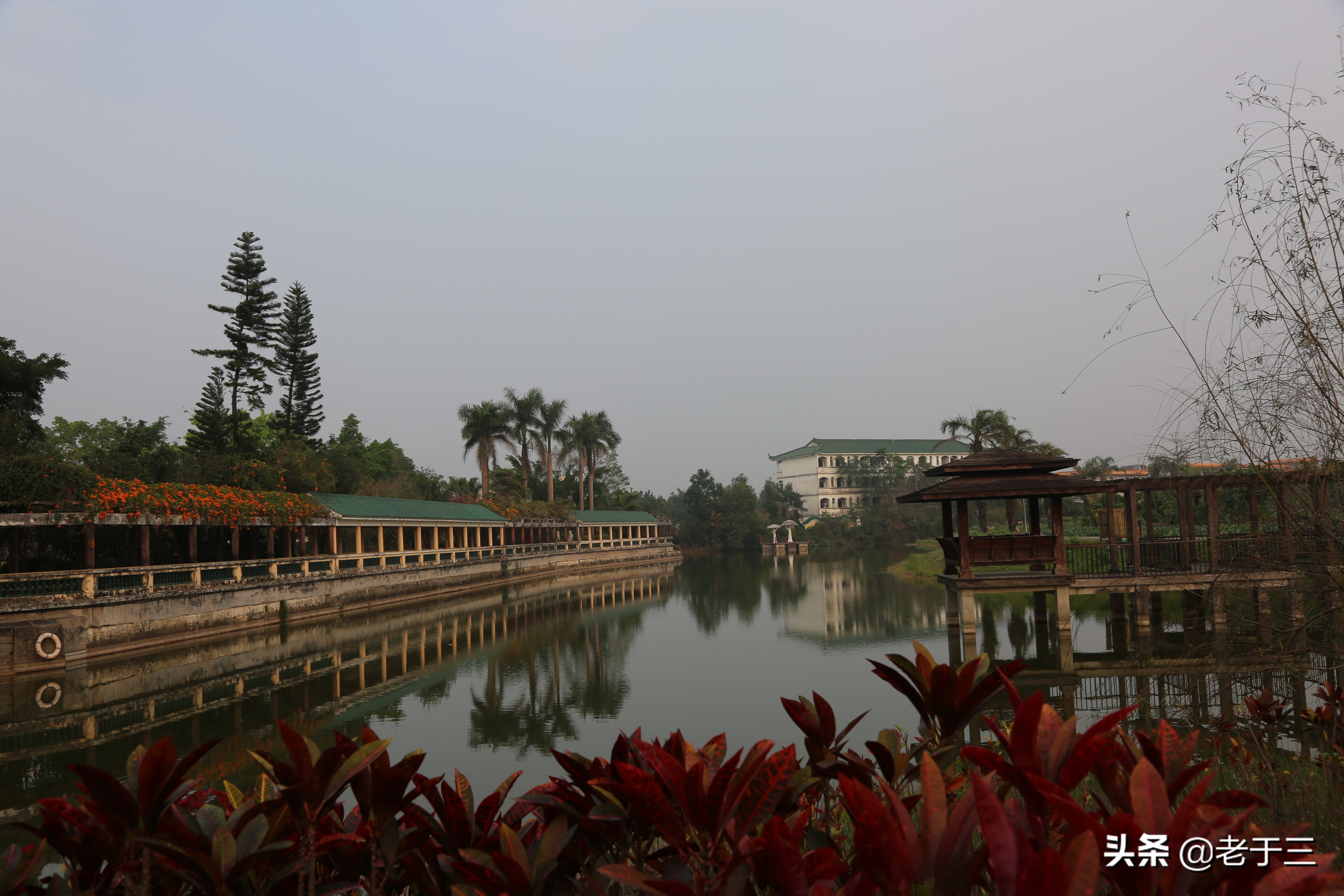 开平立园别墅,开平立园花园景观