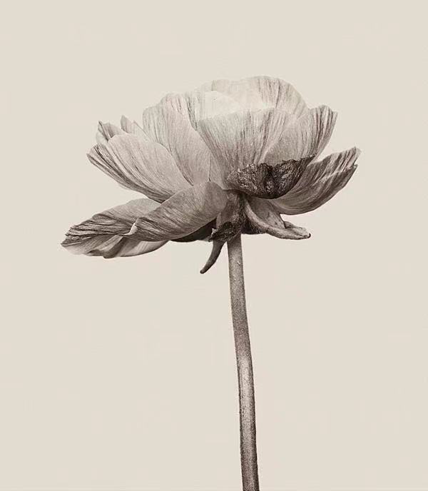 如何通过细节看穿一个人的心理,如何看透一个人8个细节