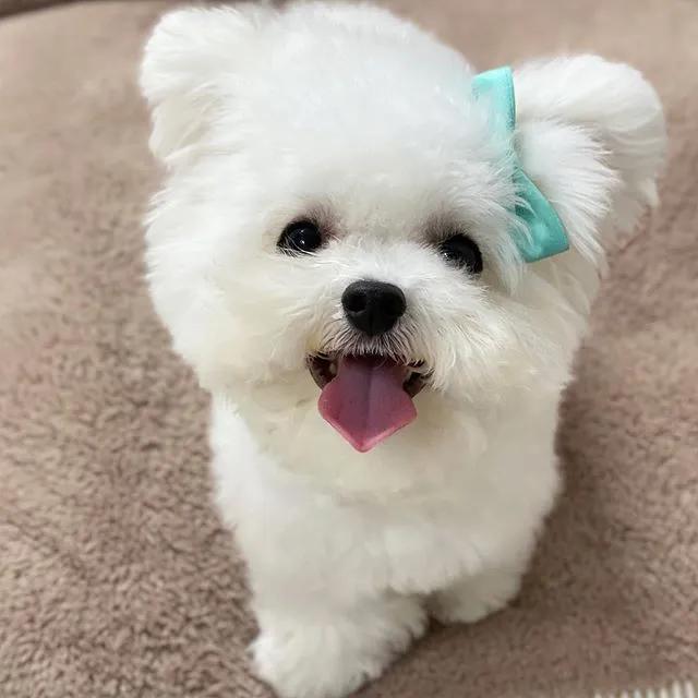 拿什么方式减压,有什么最好的减压方法