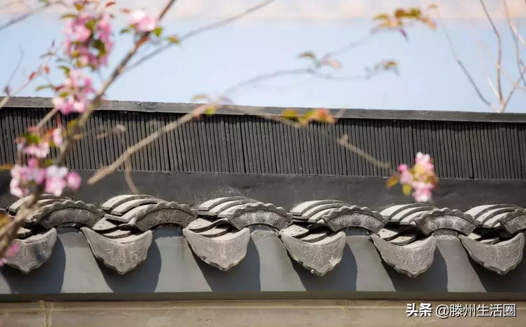 滕州未来哪里买房子好,为什么在滕州买房