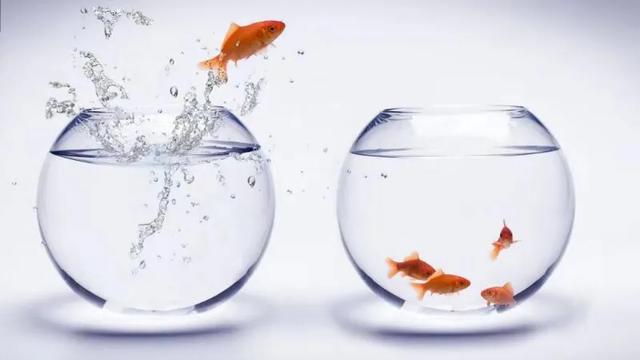 教你几招,快速化解各种女人对礼物的迷之心结