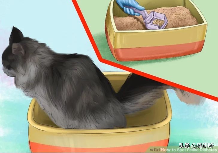 如何整治猫咪乱拉屎,怎么解决猫咪乱拉大小便
