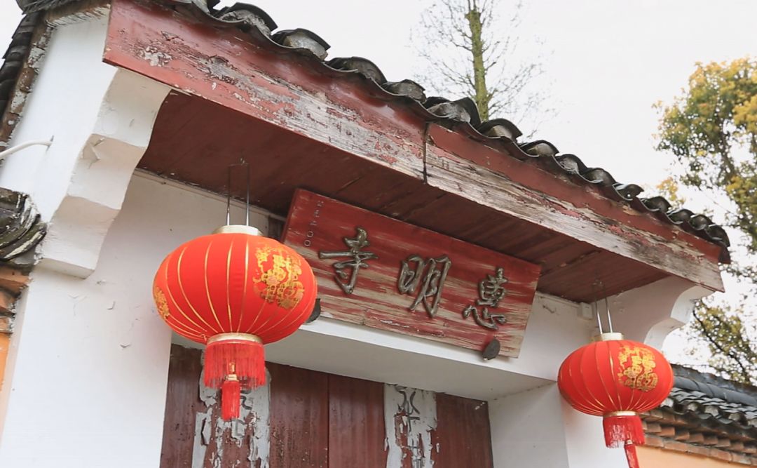 金奖惠明有机绿茶是什么茶,明前金奖惠明茶