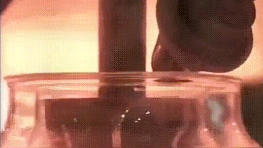 热水瓶什么材质的内胆保温时间长,热水瓶内胆能较好地保温是为什么