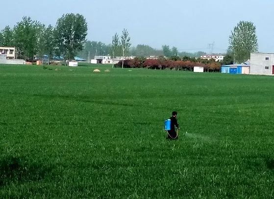 58种杀菌剂图解,杀菌剂都用什么药最好