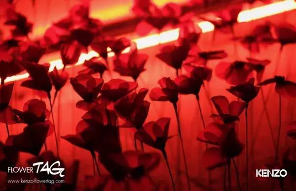 鏃ユ湰娼墝鎼厤,婕绌挎惌