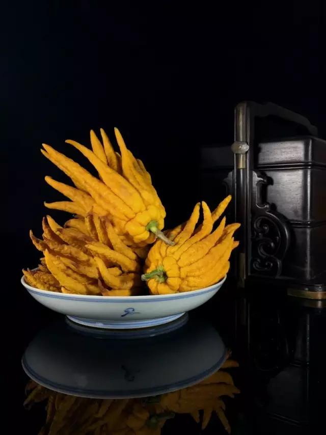 佛手只长叶不开花,佛手只有一种果子