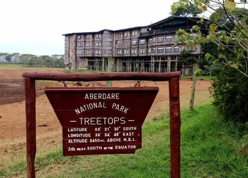 在非洲工作第一年遇上新冠疫情