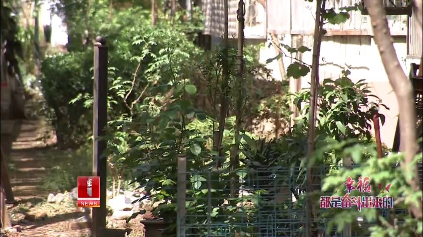 家门口的公园开放了幸福感倍增,家门口的变化资料