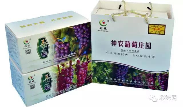 韩城市芝川镇神农葡萄庄园,韩城神农庄园葡萄酒电话