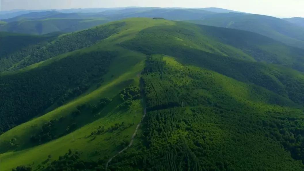 有一种绿绿绿绿绿绿绿，叫赤峰的林