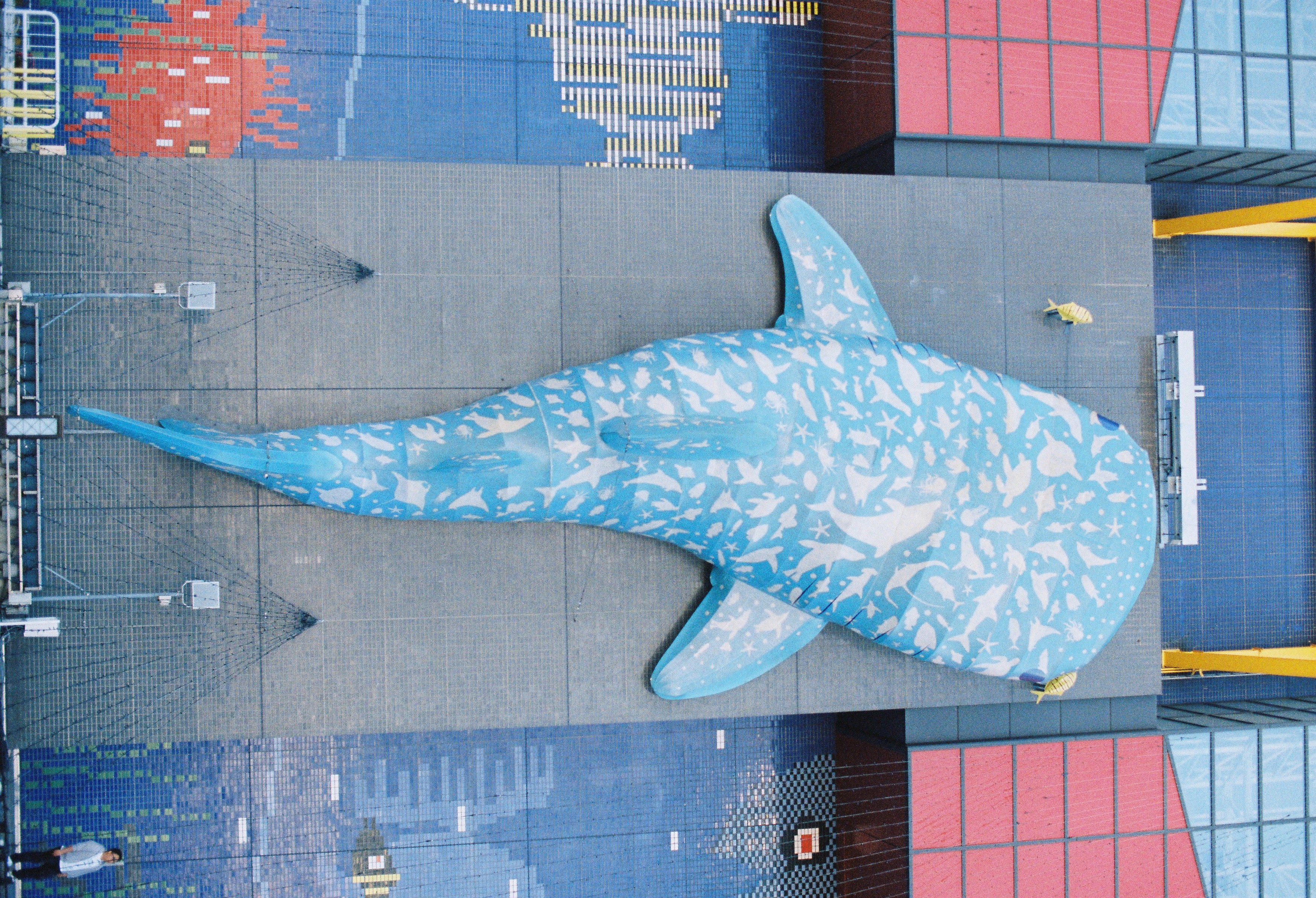 各国可口可乐价格排名,全世界可乐