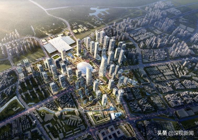 续写春天的故事,续写春天里的故事系列访谈