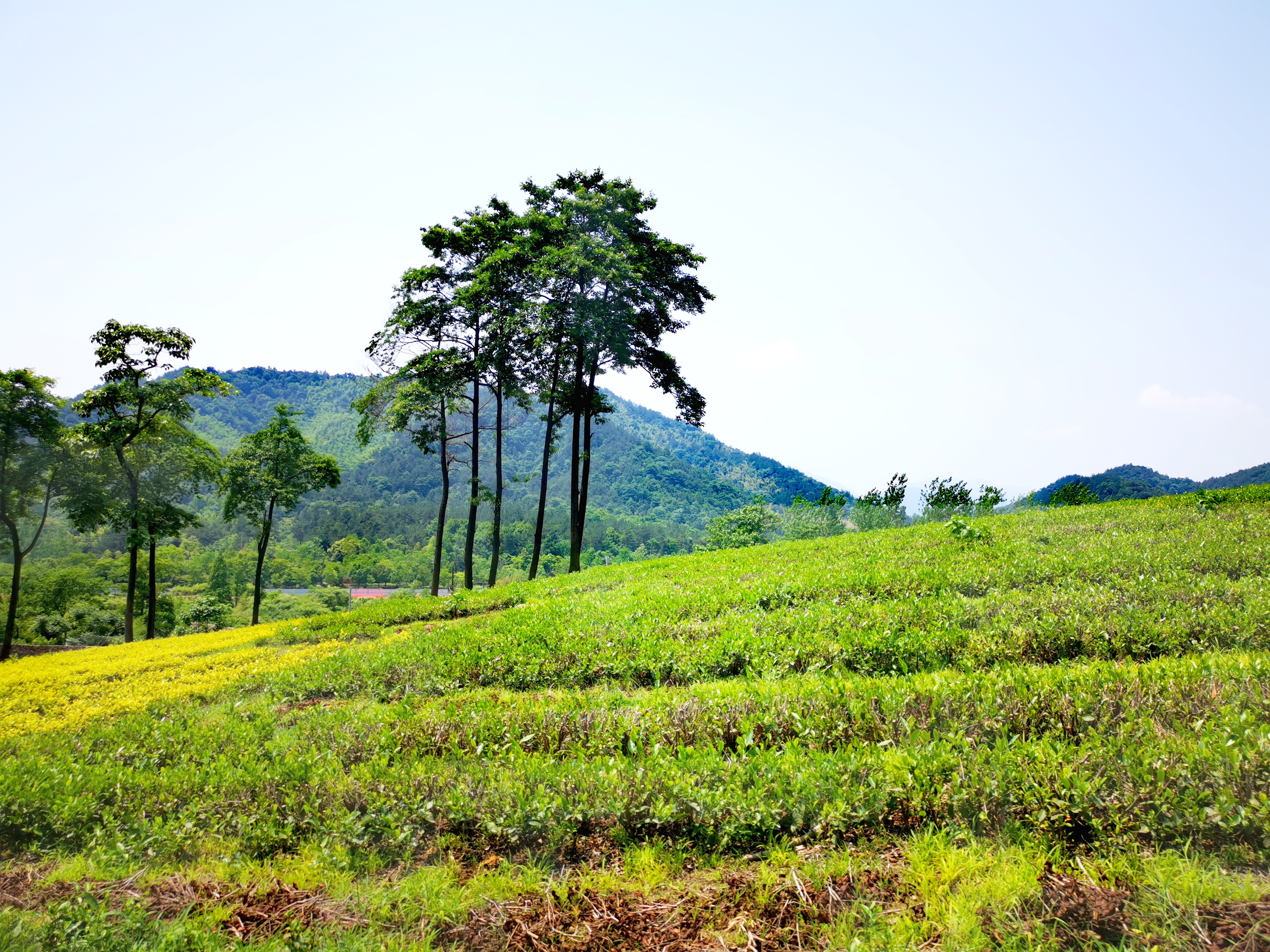带娃体验生活好去处,带娃去最好的亲子酒店