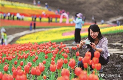 奇台县发展潜力,奇台县最新发展信息