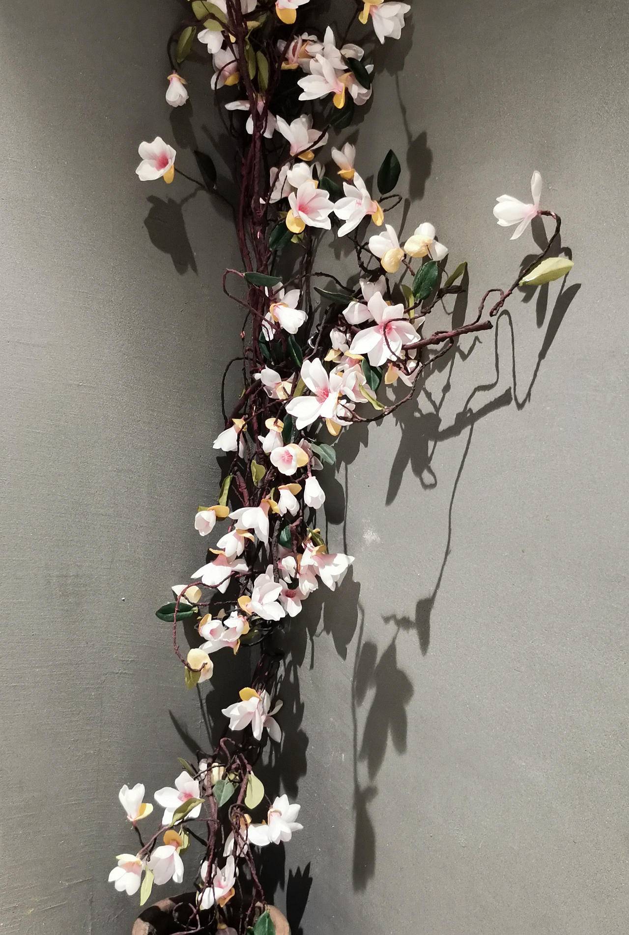 荣耀20pro评测视频,荣耀20与荣耀20pro深度评测