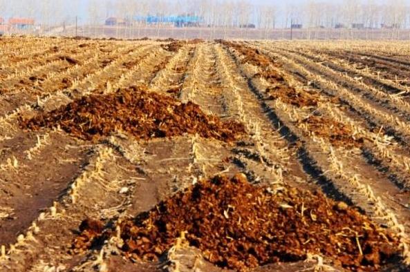 什么是发酵彻底粪肥,粪肥发酵时间过长对肥力有影响吗