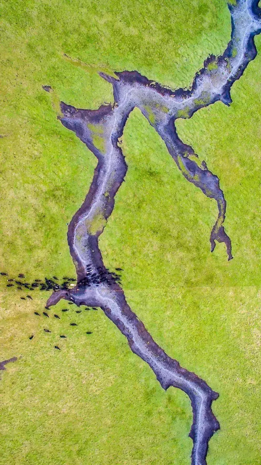 致敬祖国绘画作品高难度,关于祖国的手绘画