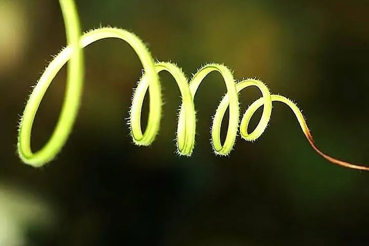 怎么面对女人之间的嫉妒,优秀的女人遭到同性的嫉妒吗