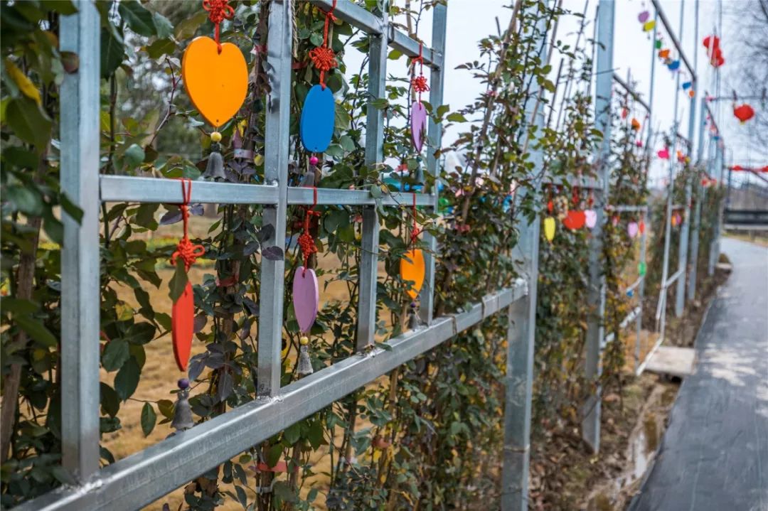 金华儿童乐园,金华市儿童乐园