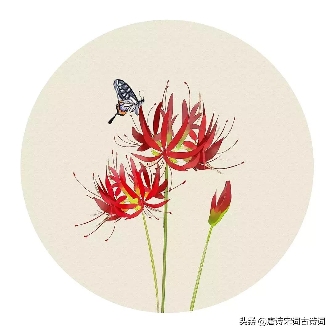 100首关于夏天的唯美古诗词,100首夏日古诗词