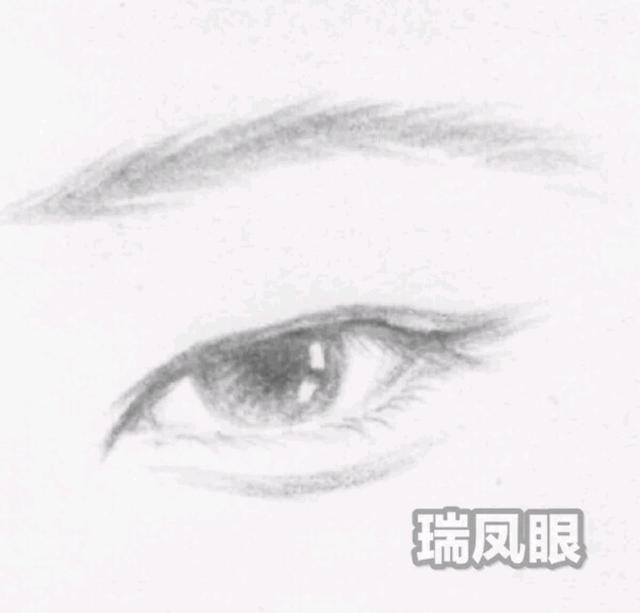 9种常见的眼型你最喜欢哪一种,什么样的眼型是美人眼