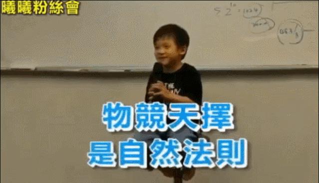 被称为神童的有哪些人,4岁神童当导师被父母毁掉