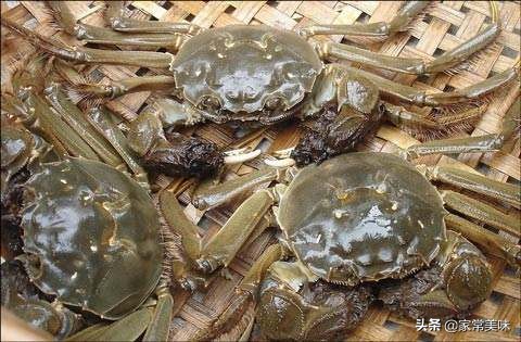 这五种螃蟹一定不要买,买螃蟹时有哪些注意事项