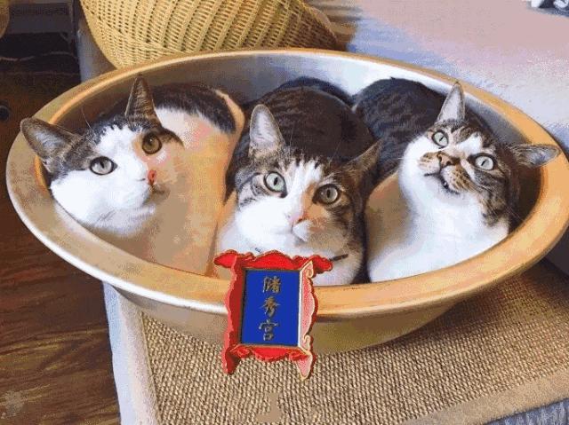 穷人富人超级富人的穿着,穷人穿品牌富人穿衣服