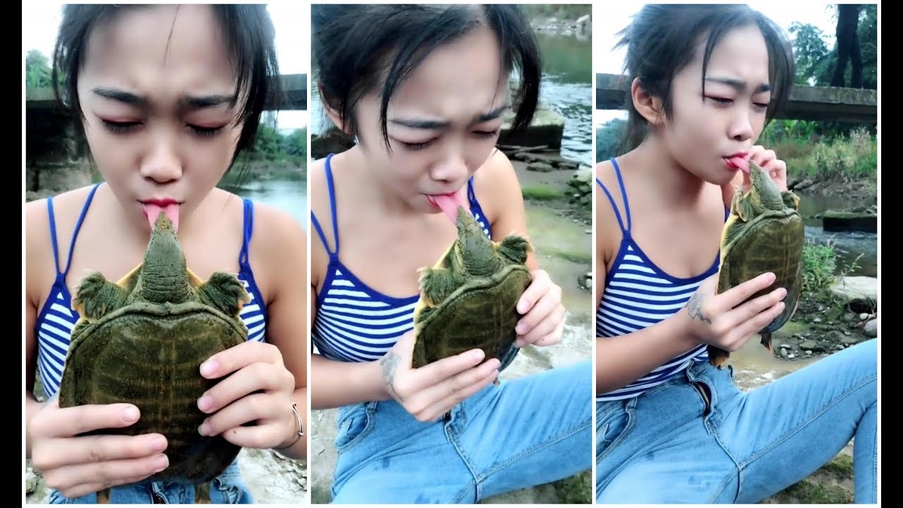 被蛇咬住了怎么办,被蛇咬住右手食指不松口