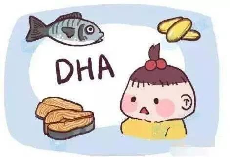 老年人吃dha的好处 (dha对眼睛有好处吗)