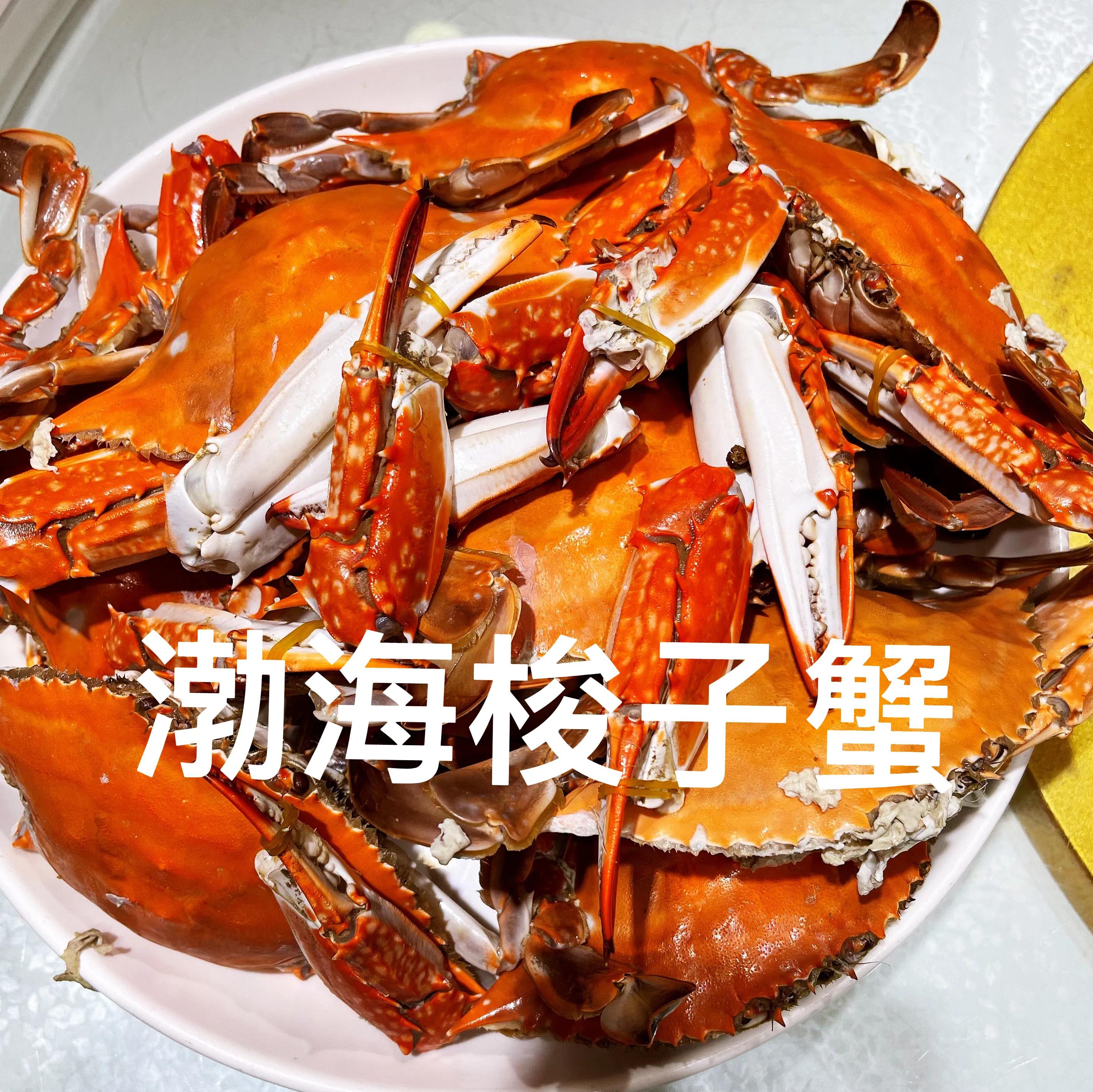 金秋十月，战友访唐城