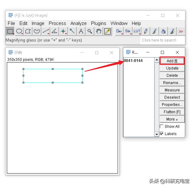 imagej标尺的位置,imagej自动选择区域