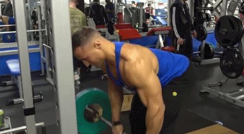 背部训练健身体式动作图解,健身背部训练背背佳