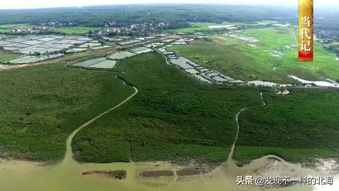 广西合浦是怎么样的?央视是这样全方位介绍这美丽的珠乡的