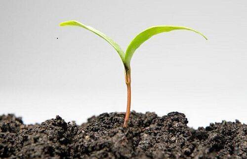 如何判断土壤的酸碱性,怎么判断土壤的酸碱性