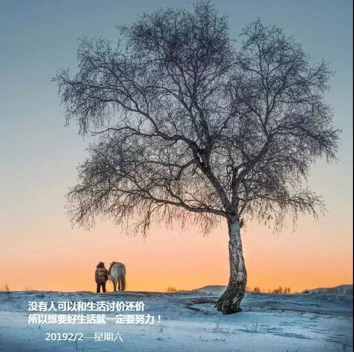 生活感悟的经典句子句句精辟,2019每日语录人生感悟