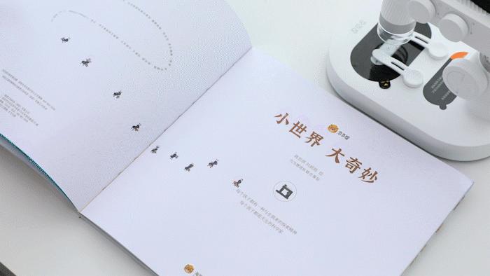 暑假孩子玩手机不如打篮球吧,儿童显微镜放大蚂蚁120倍