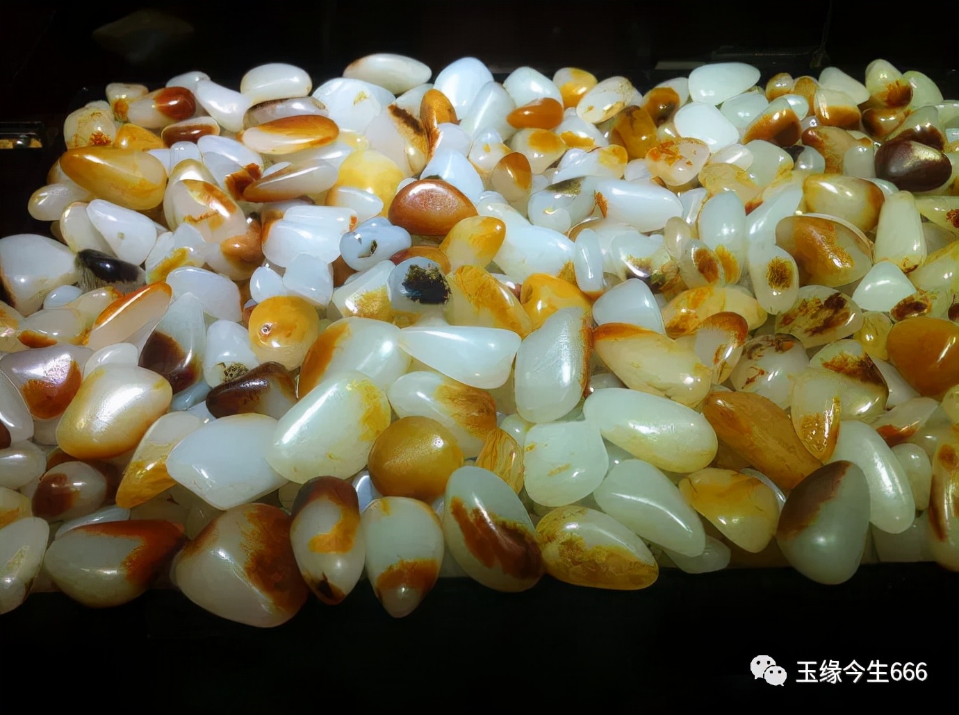 鏇茶嫅鏉傚潧1990,鏇茶嫅鏉傚潧2023