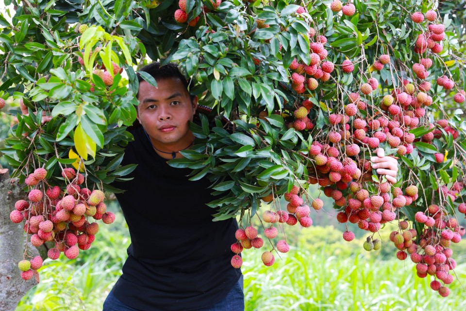 文蕴秀岭,馨怡乐园|廉江文秀岭农牧场散记