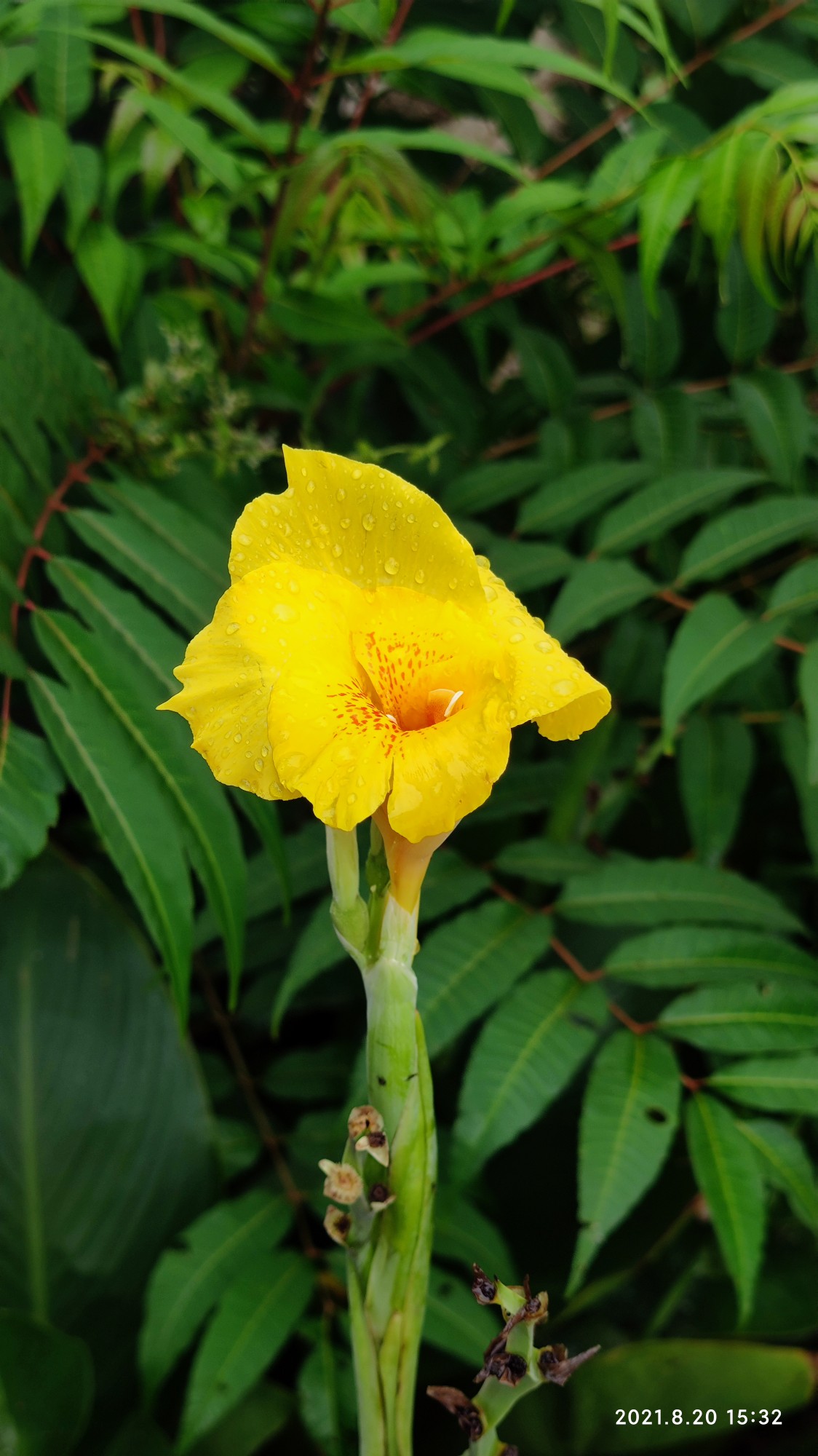 六经辨证治肺癌吗,六经辨证治万病诀窍