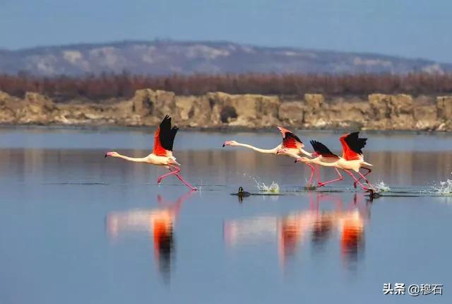 鏄槑绂呭浣忔寔,鏄槑绂呭淇