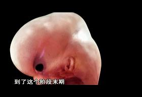 口碑炸裂宝藏纪录片推荐,宇宙生命探索纪录片