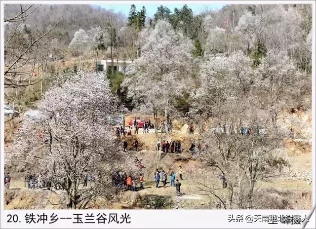 你好我叫王思聪微博截图,你好我叫阿杰