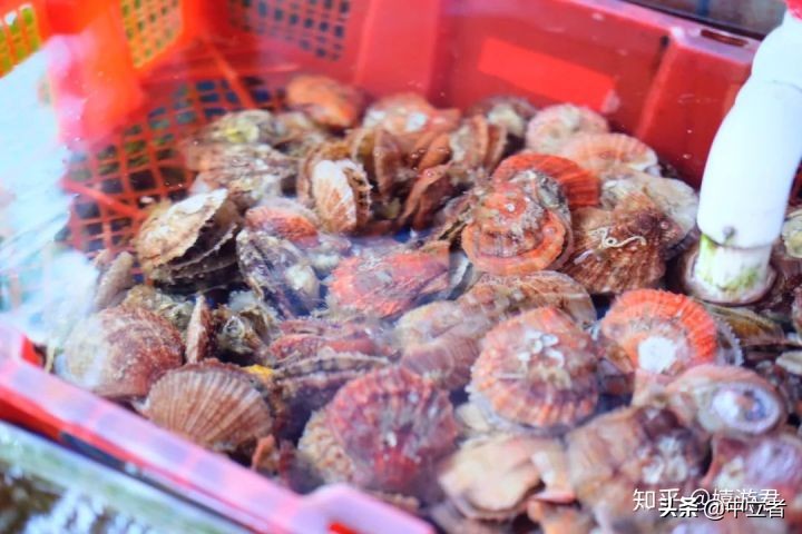 青岛好吃又好逛,青岛好吃档口