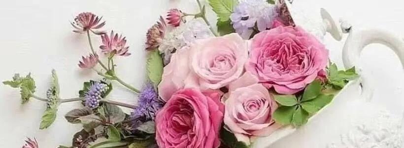 抗疫的诗原创,抗疫的原创诗