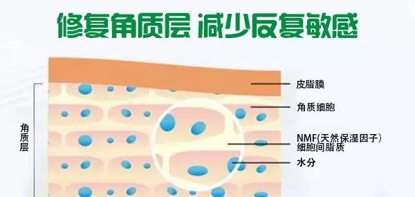 角质层薄容易过敏,角质层薄适合的水