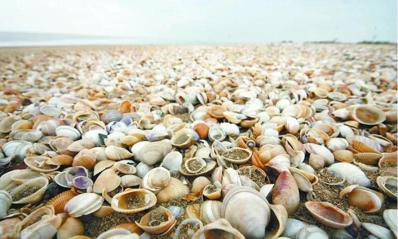 这就是天津完整视频,这就是天津南开