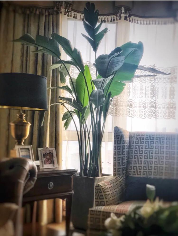 让人幸福感爆棚的方法,让幸福感更有保障安全感更可持续