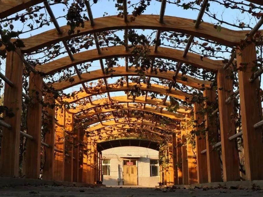 辽宁沈阳的医学大学,了解一下沈阳医学院